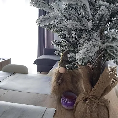 Διαμέρισμα Wiktoria Zdroj *