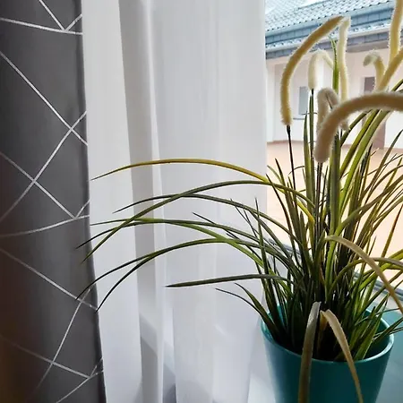 Wiktoria Zdroj Διαμέρισμα